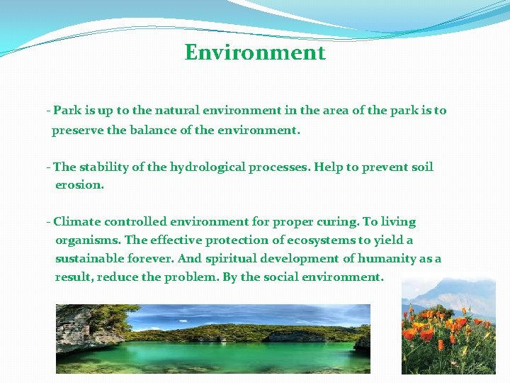 Environment - Park is up to the natural environment in the area of the