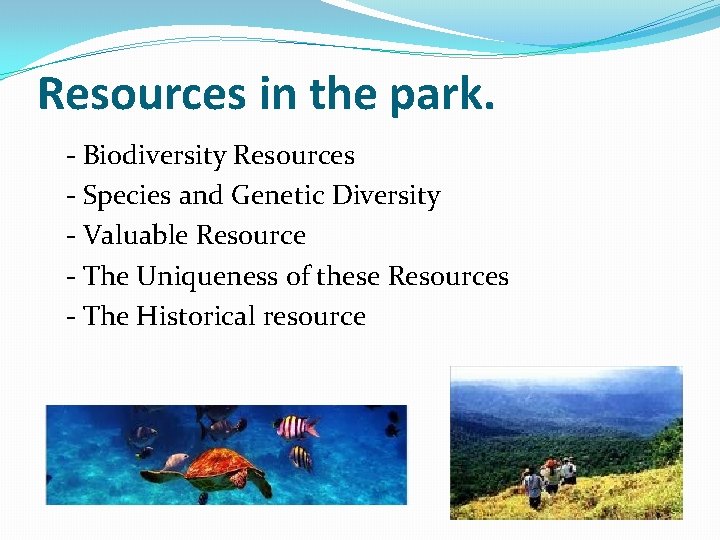 Resources in the park. - Biodiversity Resources - Species and Genetic Diversity - Valuable