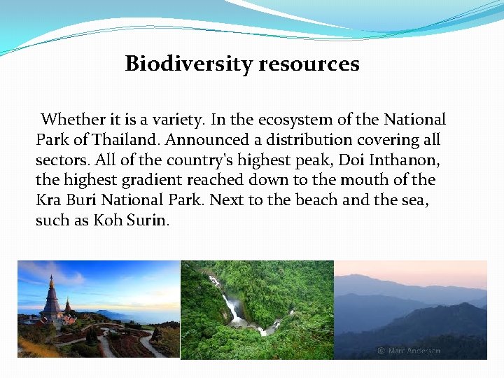 Biodiversity resources Whether it is a variety. In the ecosystem of the National Park