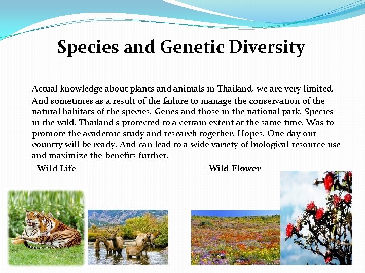 Species and Genetic Diversity Actual knowledge about plants and animals in Thailand, we are
