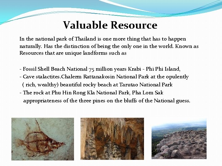 Valuable Resource In the national park of Thailand is one more thing that has
