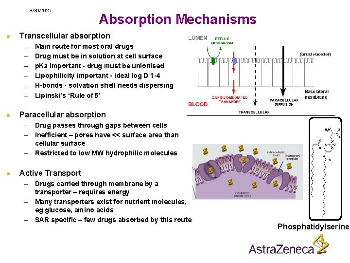 9302020 Advanced Medicinal Chemistry Lecture 4 Drug Metabolism