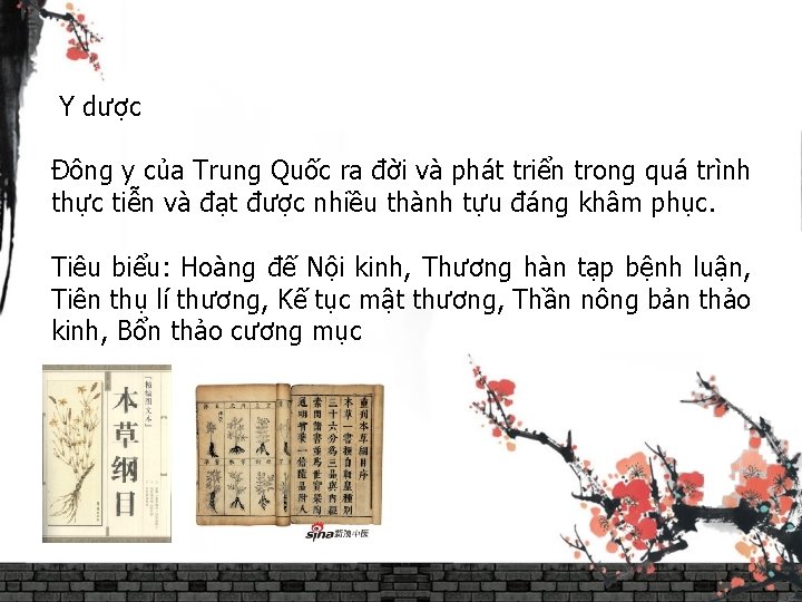 Y dược Đông y của Trung Quốc ra đời và phát triển trong quá