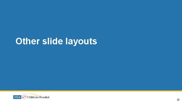 Other slide layouts 22 