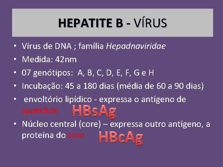 HEPATITE B - VÍRUS Vírus de DNA ; família Hepadnaviridae Medida: 42 nm 07