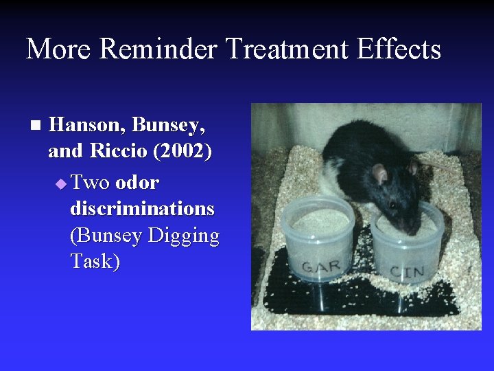 More Reminder Treatment Effects n Hanson, Bunsey, and Riccio (2002) u Two odor discriminations More Reminder Treatment Effects n Hanson, Bunsey, and Riccio (2002) u Two odor discriminations
