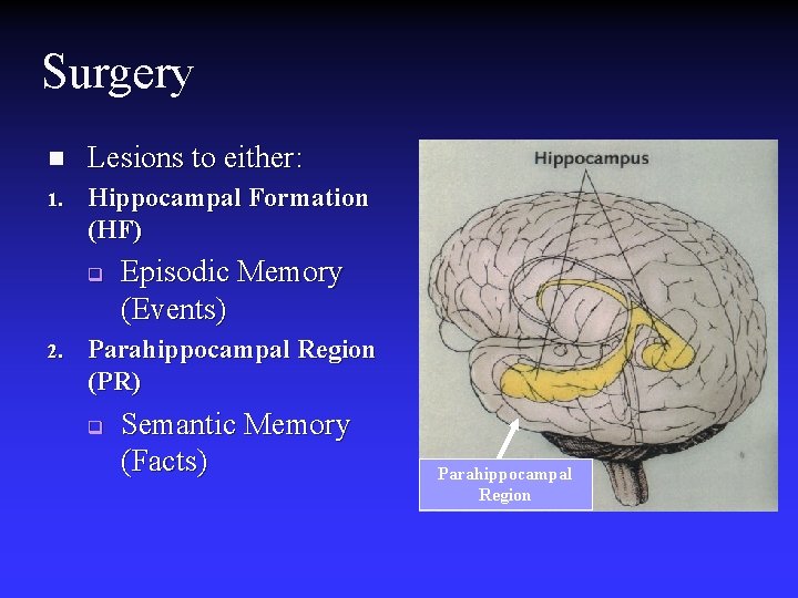Surgery n Lesions to either: 1. Hippocampal Formation (HF) q 2. Episodic Memory (Events) Surgery n Lesions to either: 1. Hippocampal Formation (HF) q 2. Episodic Memory (Events)