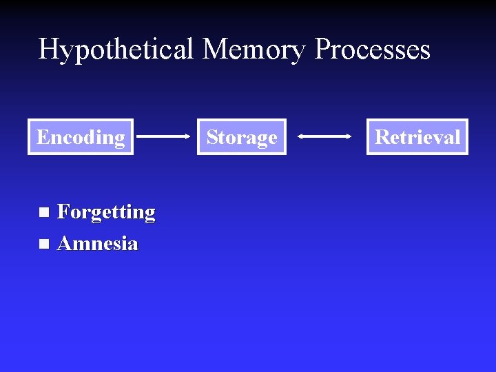 Hypothetical Memory Processes Encoding Forgetting n Amnesia n Storage Retrieval Hypothetical Memory Processes Encoding Forgetting n Amnesia n Storage Retrieval