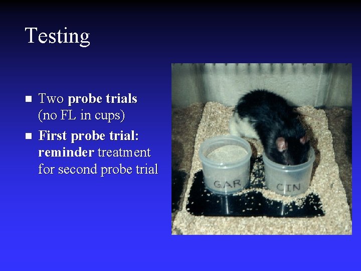 Testing n n Two probe trials (no FL in cups) First probe trial: reminder Testing n n Two probe trials (no FL in cups) First probe trial: reminder