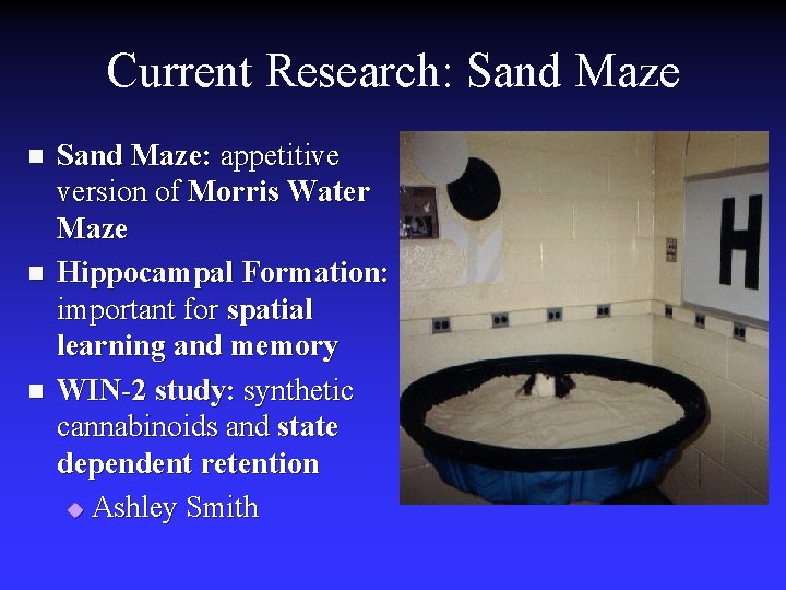 Current Research: Sand Maze n n n Sand Maze: appetitive version of Morris Water Current Research: Sand Maze n n n Sand Maze: appetitive version of Morris Water