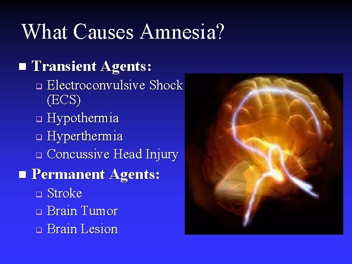 What Causes Amnesia? n Transient Agents: Electroconvulsive Shock (ECS) q Hypothermia q Hyperthermia q What Causes Amnesia? n Transient Agents: Electroconvulsive Shock (ECS) q Hypothermia q Hyperthermia q