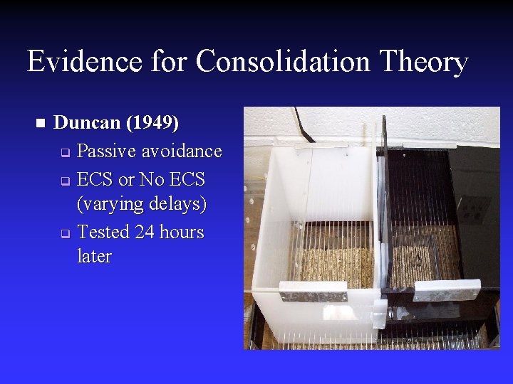 Evidence for Consolidation Theory n Duncan (1949) q Passive avoidance q ECS or No Evidence for Consolidation Theory n Duncan (1949) q Passive avoidance q ECS or No