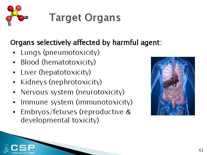 Chemical Security Program Chemical Toxicology And Physiology Sandia