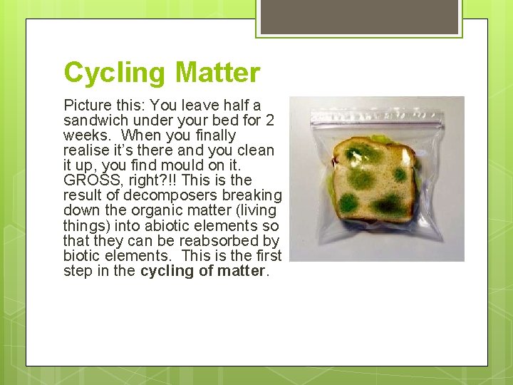 Cycling Matter Picture this: You leave half a sandwich under your bed for 2