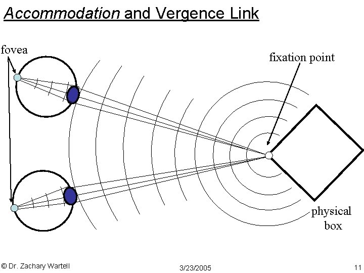 Accommodation and Vergence Link fovea fixation point physical box © Dr. Zachary Wartell 3/23/2005