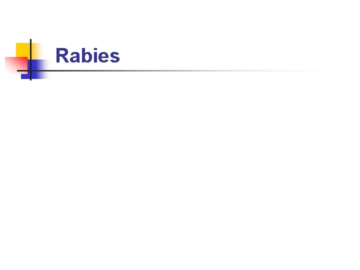Rabies 
