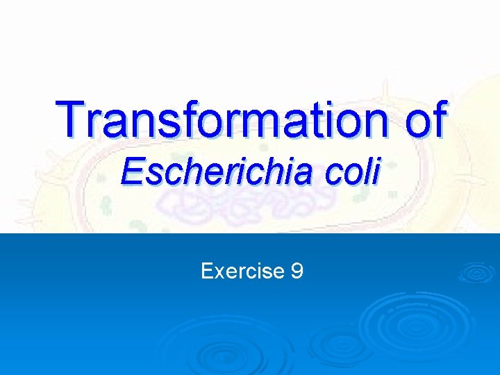 Transformation of Escherichia coli Exercise 9 