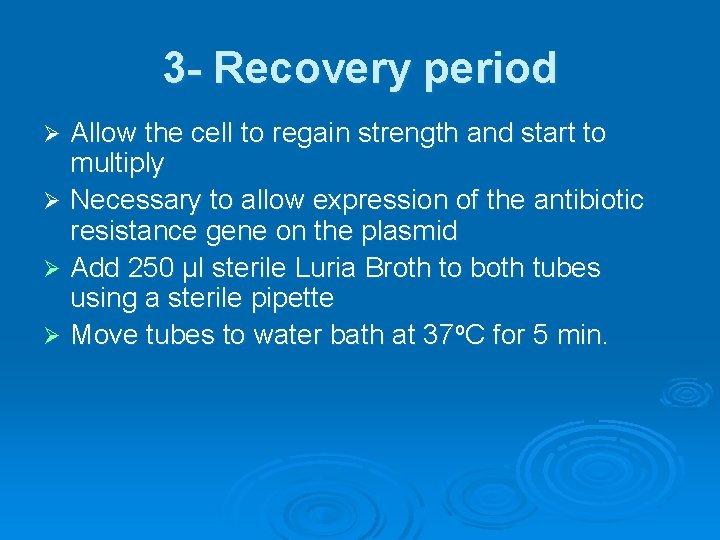 3 - Recovery period Allow the cell to regain strength and start to multiply