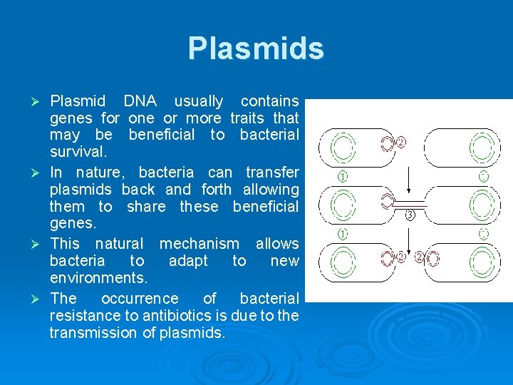 Plasmids Plasmid DNA usually contains genes for one or more traits that may be