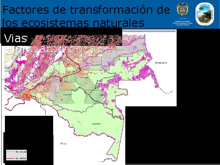 Factores de transformación de los ecosistemas naturales Bloques de Catastro Minero Cultivos Ilícitos Vias