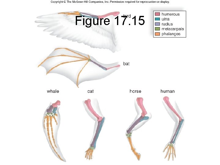 Figure 17. 15 