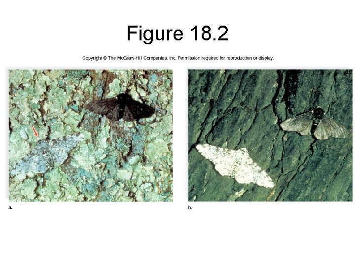 Figure 18. 2 