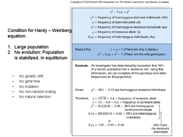 Condition for Hardy – Weinberg equation: 1. Large population 2. No evolution: Population is