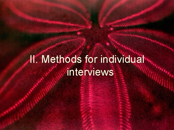 II. Methods for individual interviews 