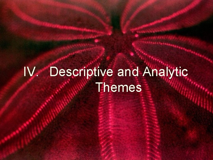 IV. Descriptive and Analytic Themes 