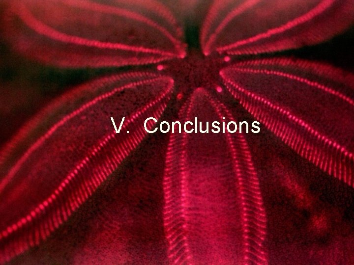 V. Conclusions 