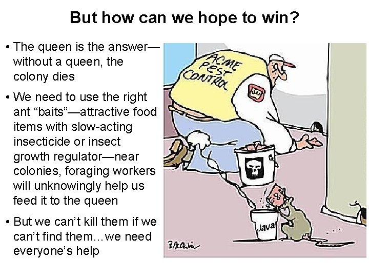 But how can we hope to win? • The queen is the answer— without But how can we hope to win? • The queen is the answer— without