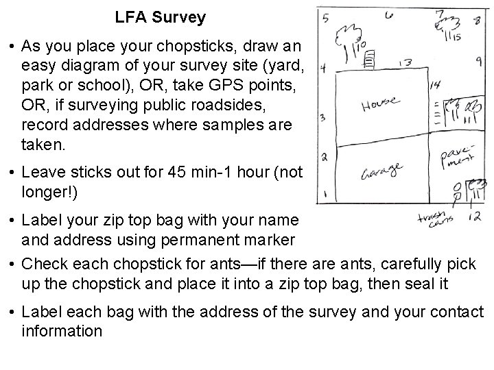 LFA Survey • As you place your chopsticks, draw an easy diagram of your LFA Survey • As you place your chopsticks, draw an easy diagram of your