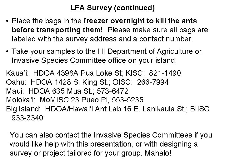 LFA Survey (continued) • Place the bags in the freezer overnight to kill the LFA Survey (continued) • Place the bags in the freezer overnight to kill the