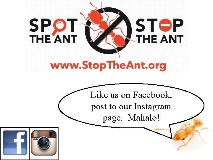 Like us on Facebook, post to our Instagram page. Mahalo! Like us on Facebook, post to our Instagram page. Mahalo!