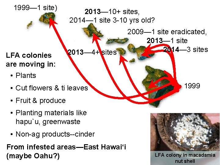 1999— 1 site) LFA colonies are moving in: 2013— 10+ sites, 2014— 1 site 1999— 1 site) LFA colonies are moving in: 2013— 10+ sites, 2014— 1 site