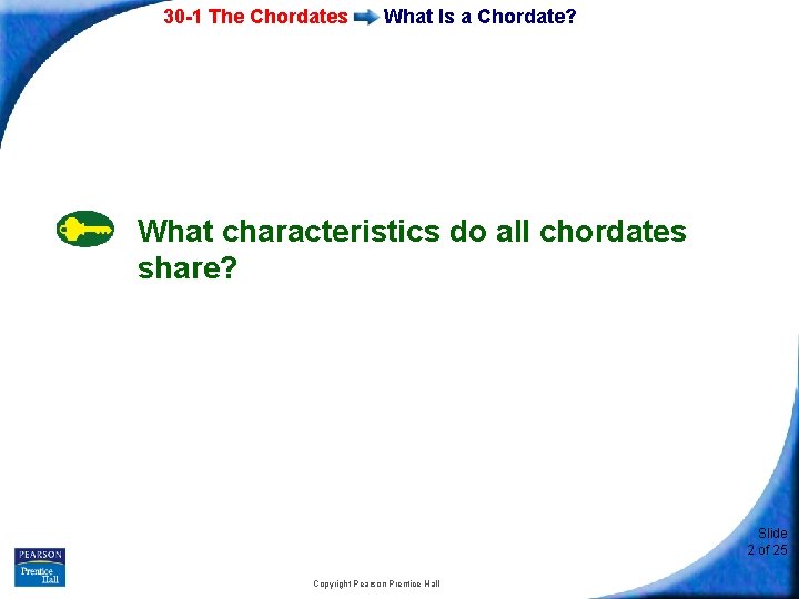 30 -1 The Chordates What Is a Chordate? What characteristics do all chordates share?