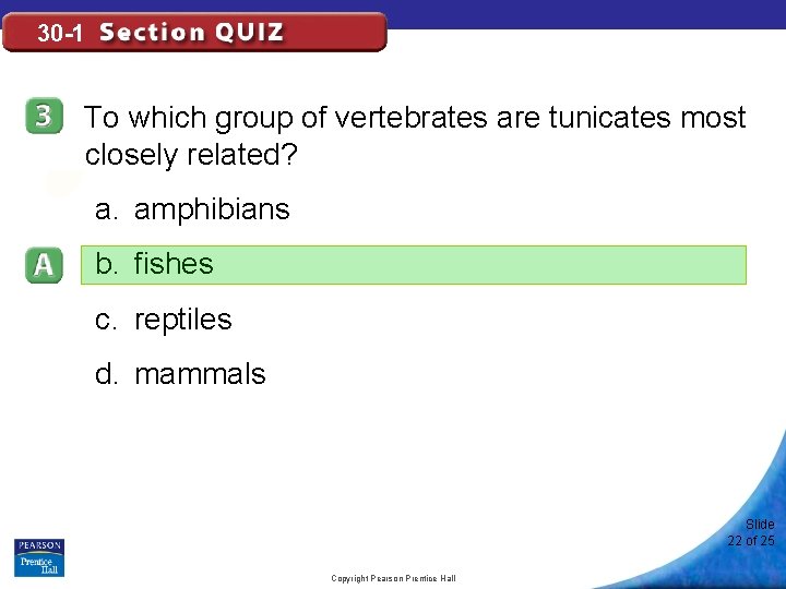 30 -1 To which group of vertebrates are tunicates most closely related? a. amphibians