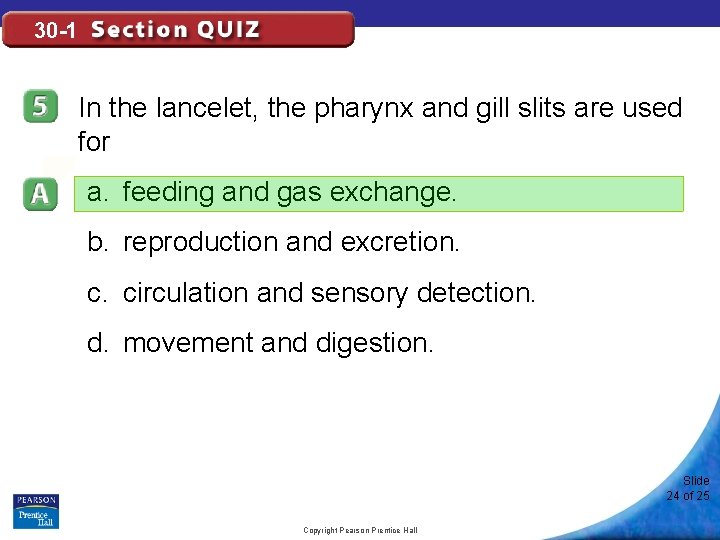 30 -1 In the lancelet, the pharynx and gill slits are used for a.