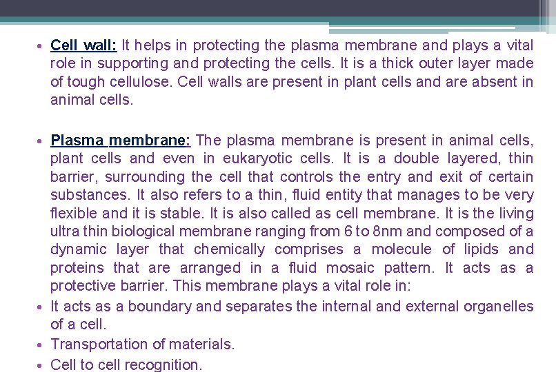 • Cell wall: It helps in protecting the plasma membrane and plays a • Cell wall: It helps in protecting the plasma membrane and plays a