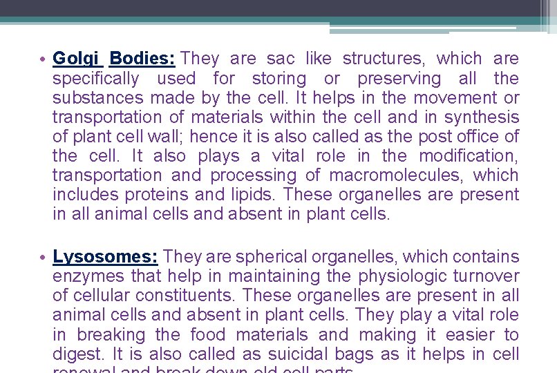 • Golgi Bodies: They are sac like structures, which are specifically used for • Golgi Bodies: They are sac like structures, which are specifically used for