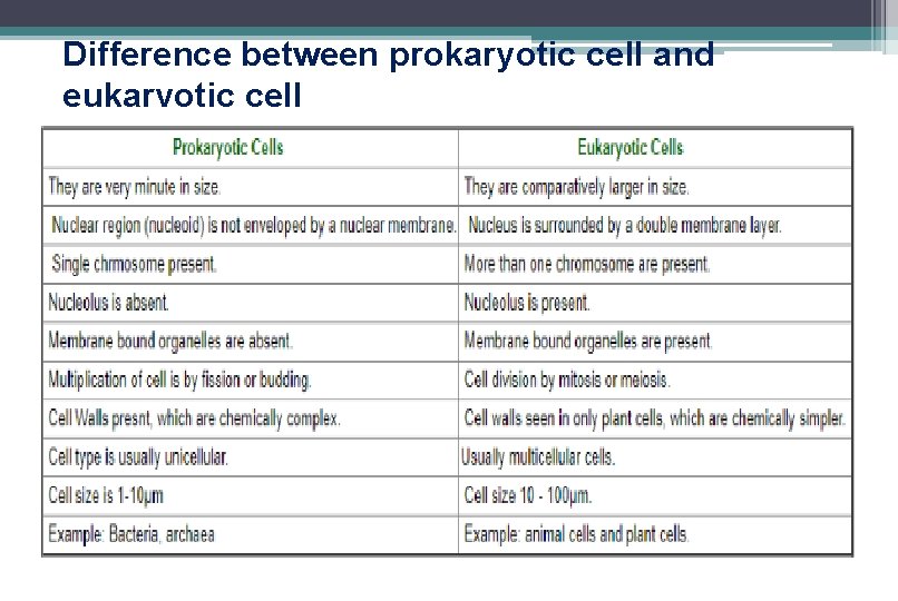 Difference between prokaryotic cell and eukaryotic cell Difference between prokaryotic cell and eukaryotic cell