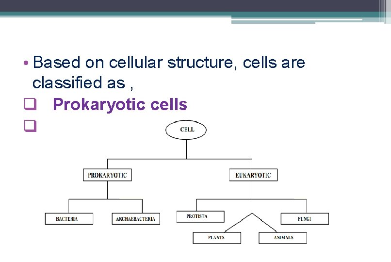 • Based on cellular structure, cells are classified as , q Prokaryotic cells • Based on cellular structure, cells are classified as , q Prokaryotic cells