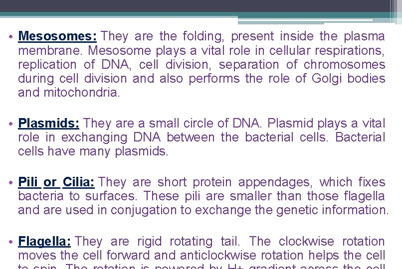 • Mesosomes: They are the folding, present inside the plasma membrane. Mesosome plays • Mesosomes: They are the folding, present inside the plasma membrane. Mesosome plays