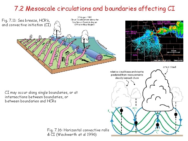 Squall Line Development Chapter 7 convective initiation squall line development in