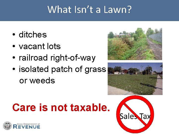 What Isn’t a Lawn? • • ditches vacant lots railroad right-of-way isolated patch of