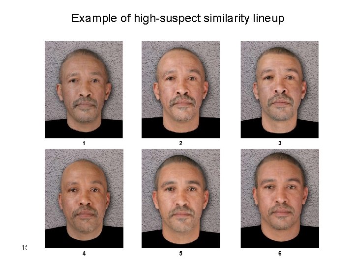 Example of high-suspect similarity lineup 15 