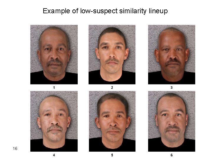 Example of low-suspect similarity lineup 16 