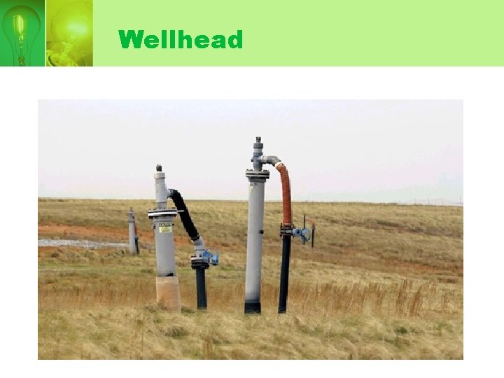 Wellhead Wellhead