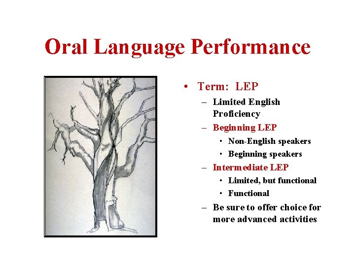 Oral Language Performance • Term: LEP – Limited English Proficiency – Beginning LEP •