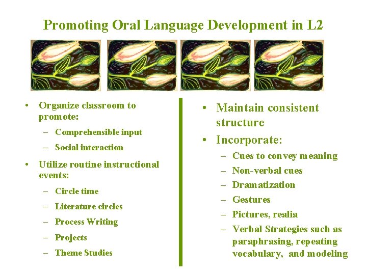 Promoting Oral Language Development in L 2 • Organize classroom to promote: – Comprehensible